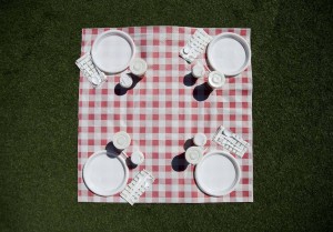 Platos de plástico Platos de plástico